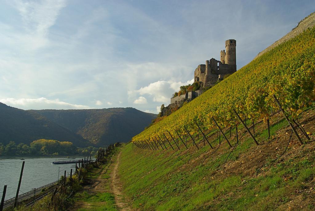 Bellevue Rheinhotel Boppard Exterior photo
